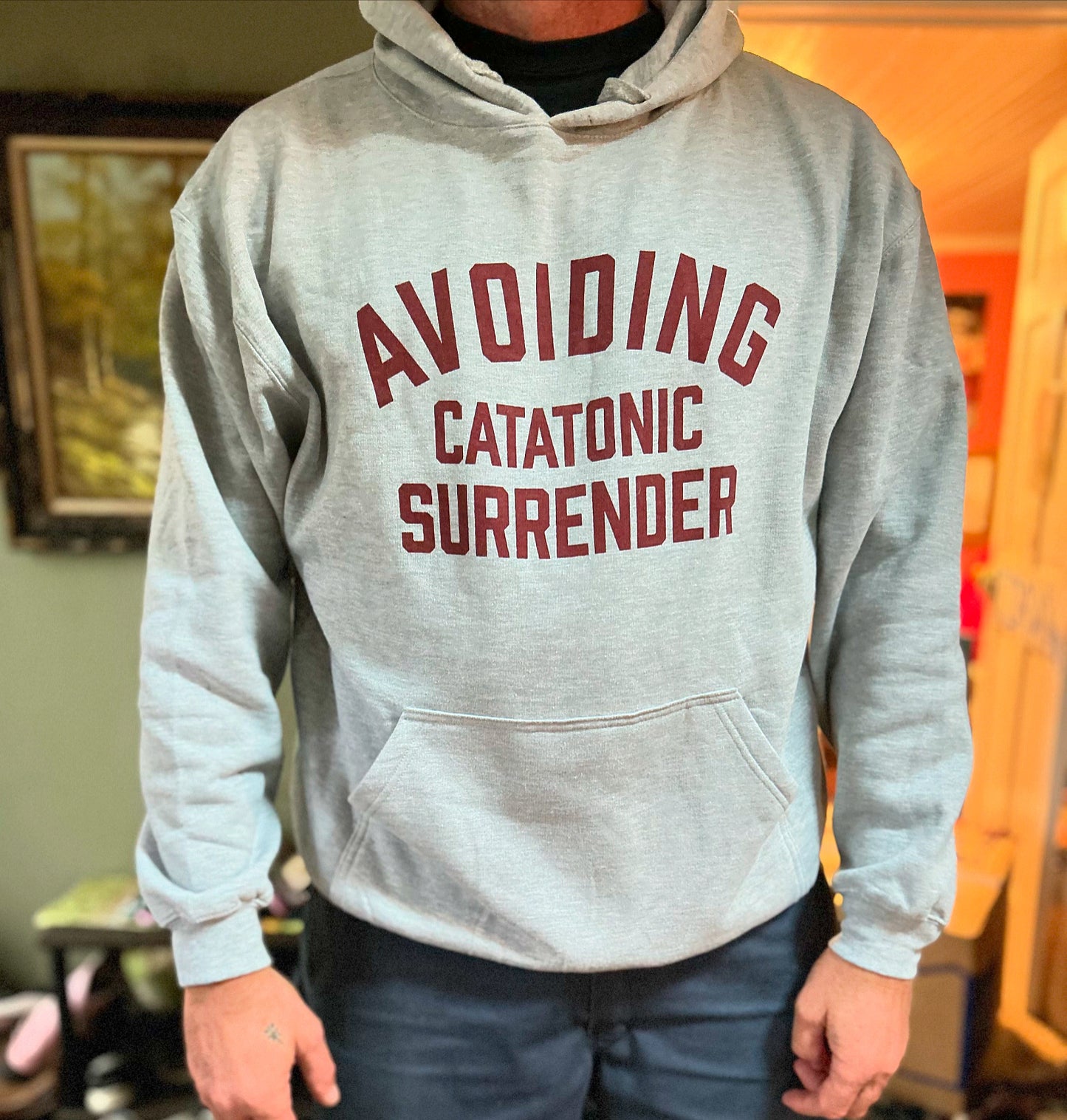 NEW! TIM BARRY "Avoiding Catatonic Surrender" Hooded Sweatshirt