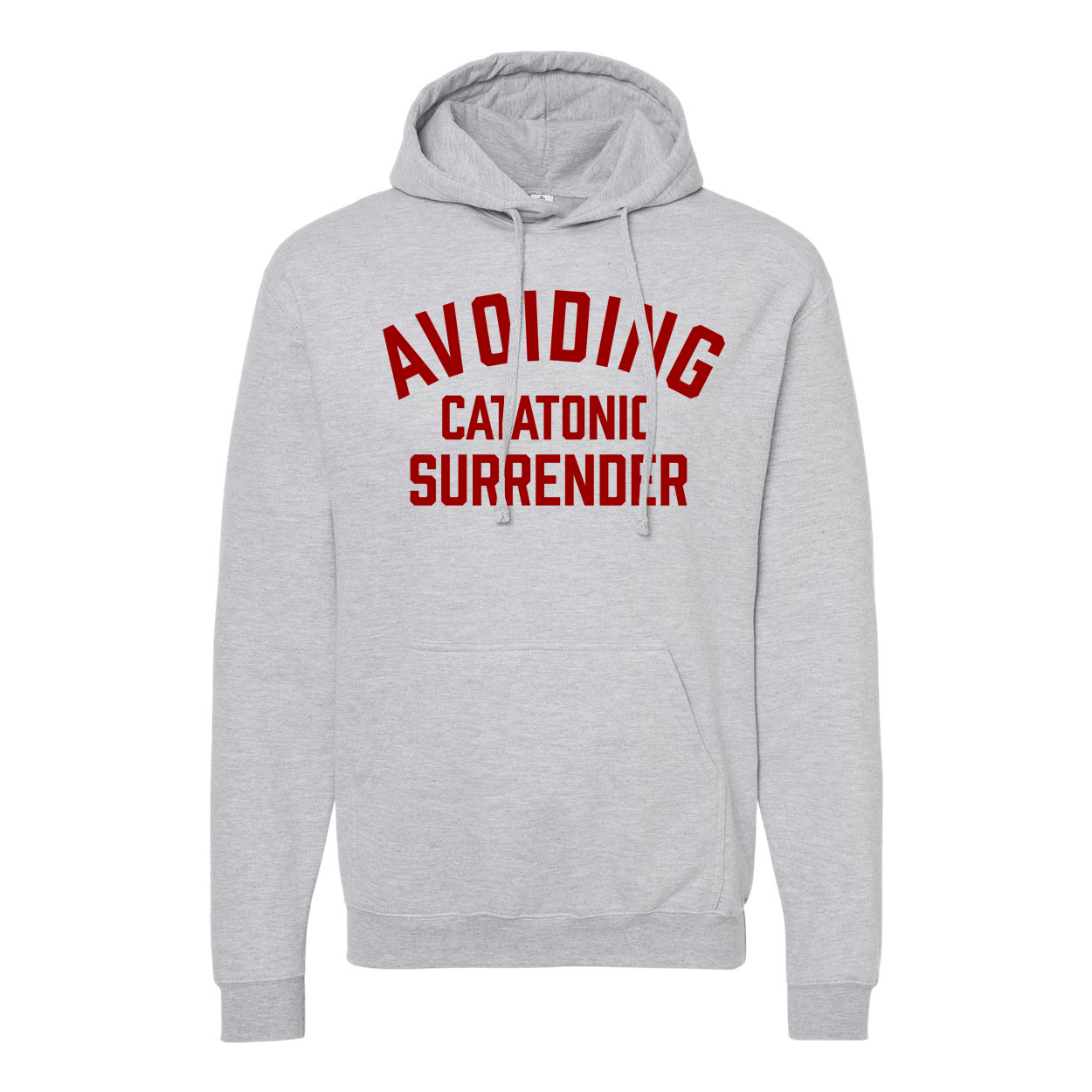 NEW! TIM BARRY "Avoiding Catatonic Surrender" Hooded Sweatshirt